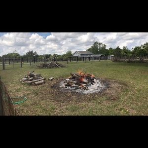 Meet your Posher, Sandy